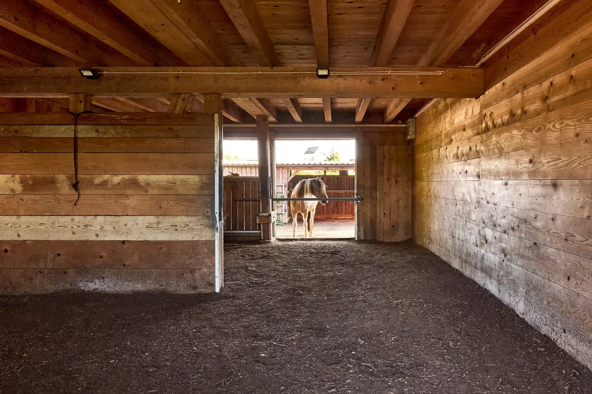 Duffner blockbau holzhaus thurgau pferdehof © helmuth scham 0084