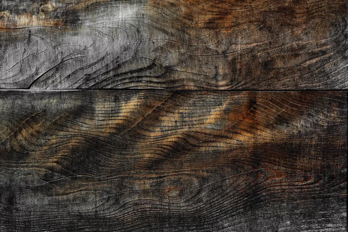 Duffner blockbau holzhaus thurgau pferdehof © helmuth scham 0186